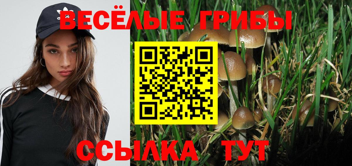 Галлюциногенные грибы Cubensis  Вход с VPN  Псилоцибиновые грибы мицелий  Зерноград 