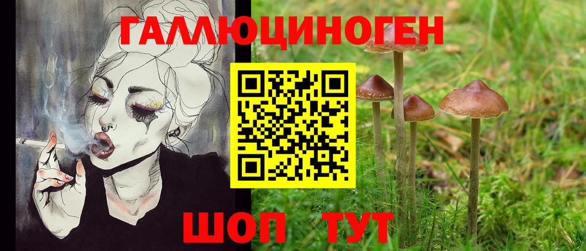 Псилоцибиновые грибы Cubensis Зерноград